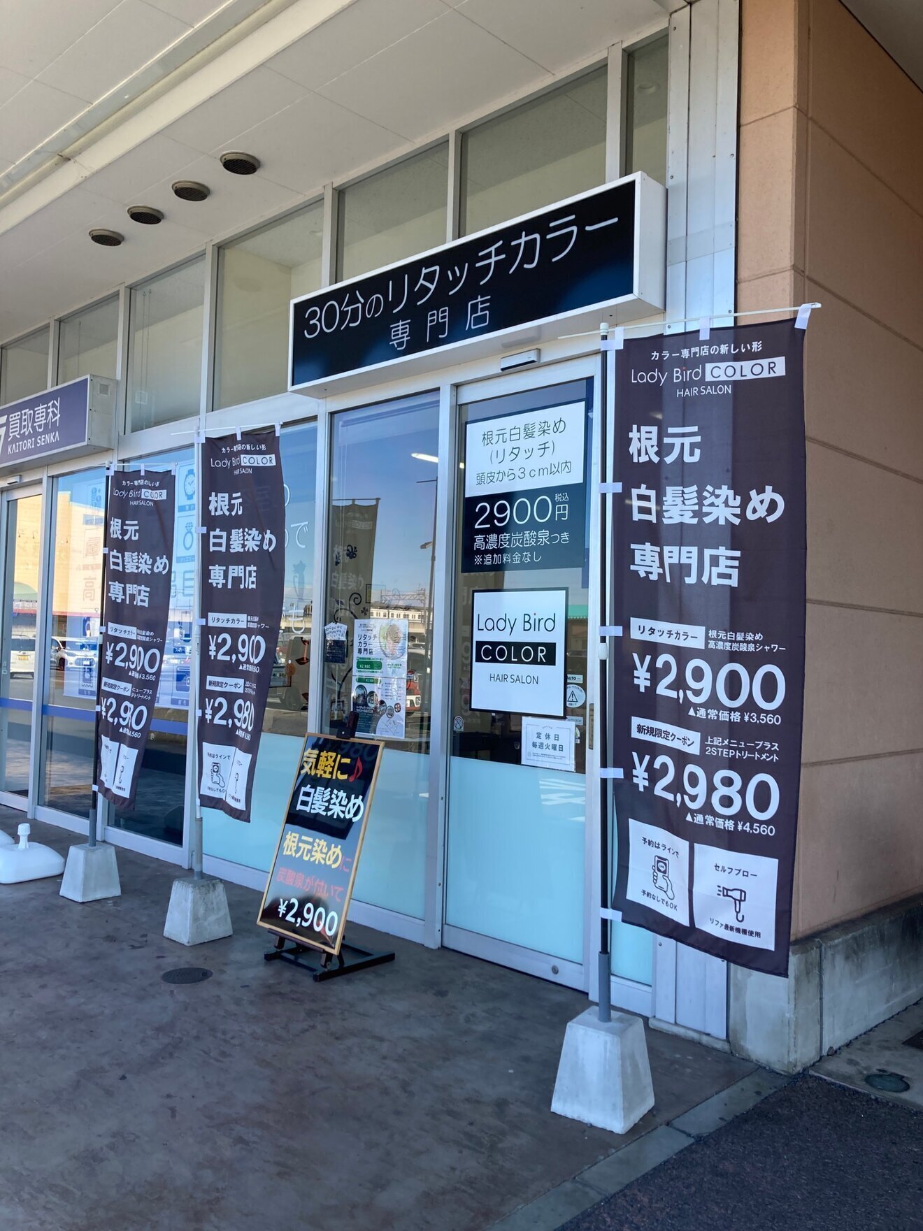 レイディバードカラーヤオコー足利八幡店