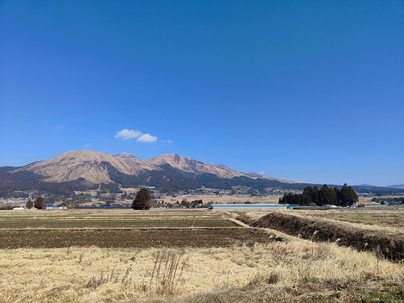 万福小屋どんぶらこ