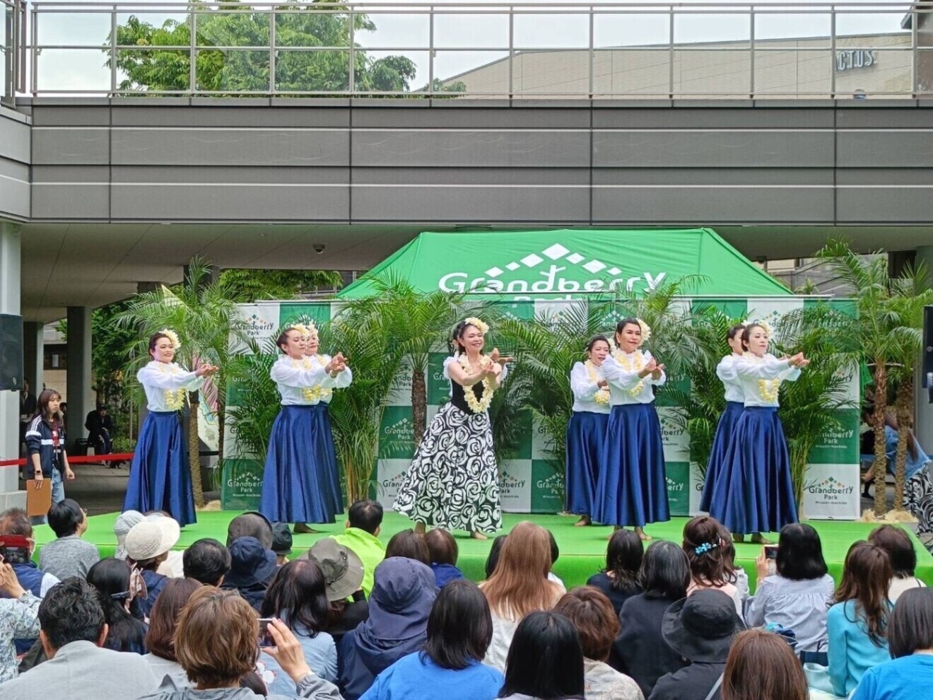 フラダンス アカハイフラスタジオ 鷺沼