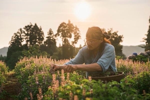 まつのやま茶倉