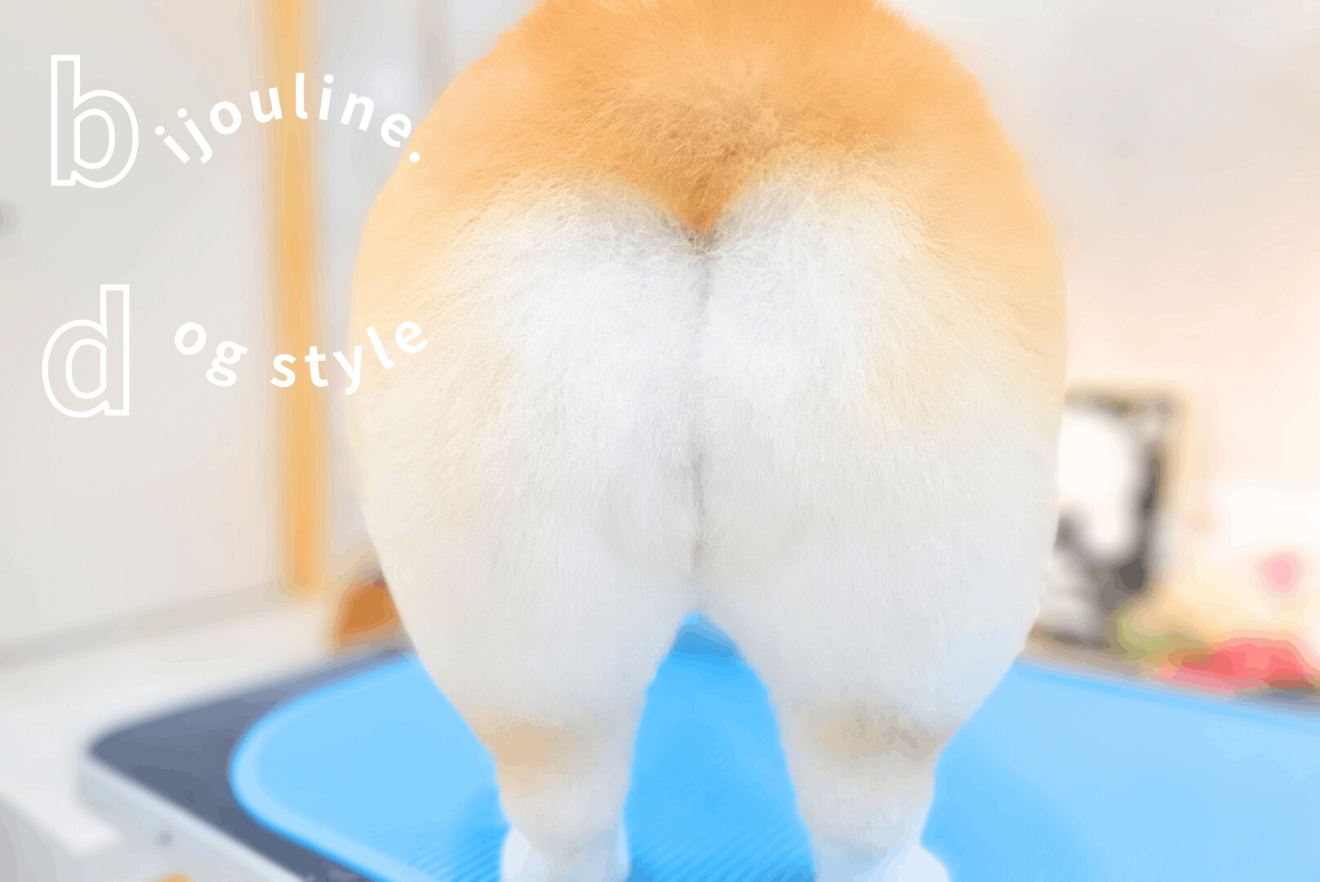 bijou line(ビジュライン)青森