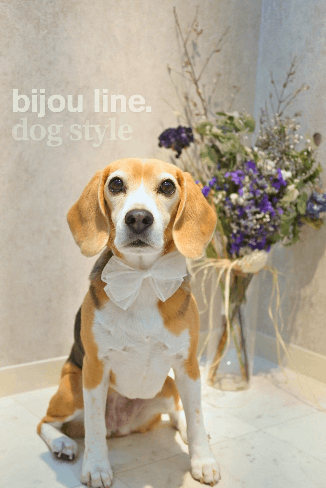 bijou line(ビジュライン)青森