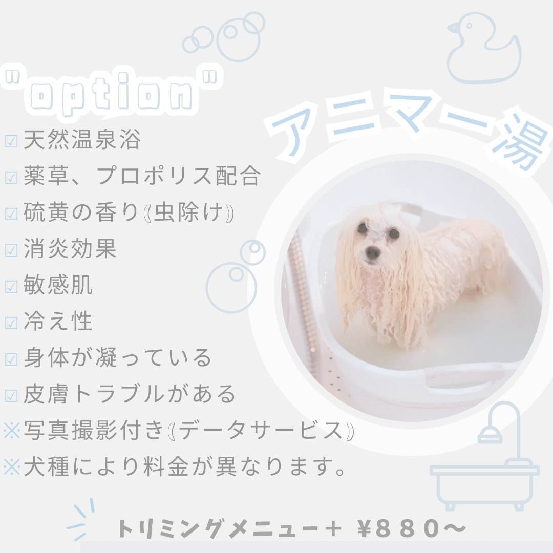 bijou line(ビジュライン)青森