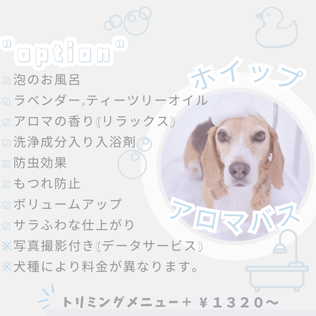 bijou line(ビジュライン)青森