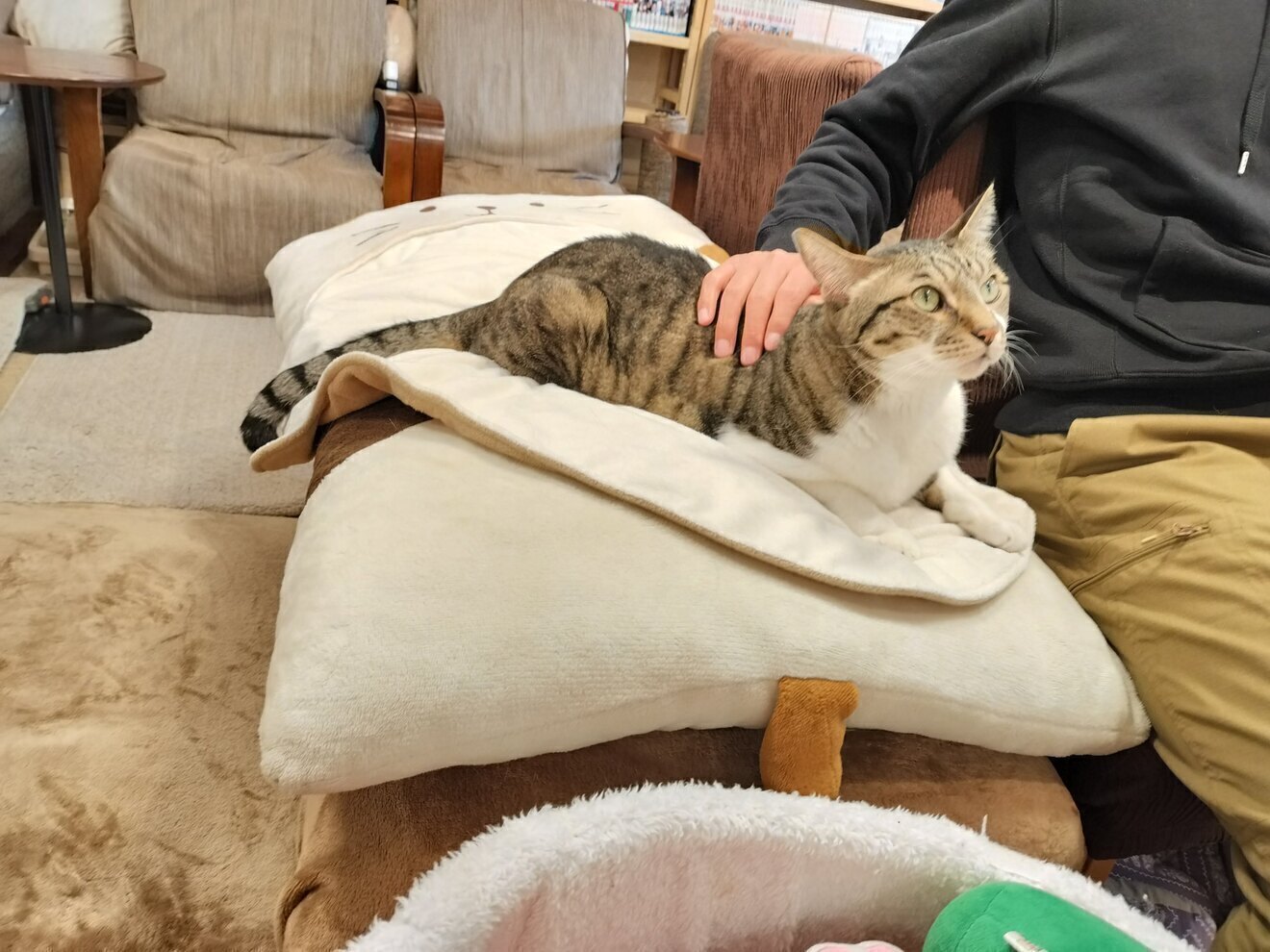 ねこのみせ