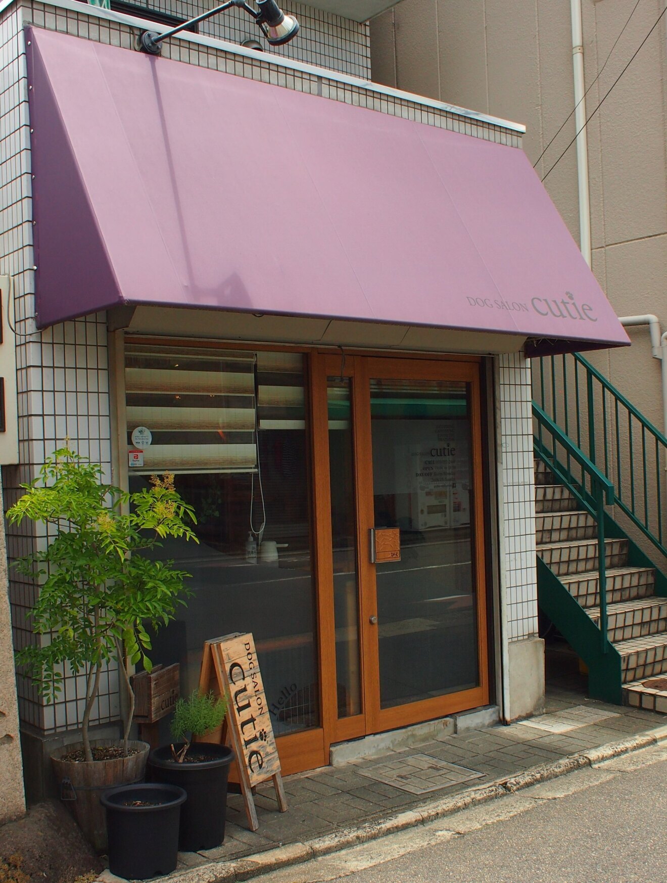 京都　ドッグサロンキューティー