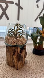 B-fit鍼灸院 本厚木院