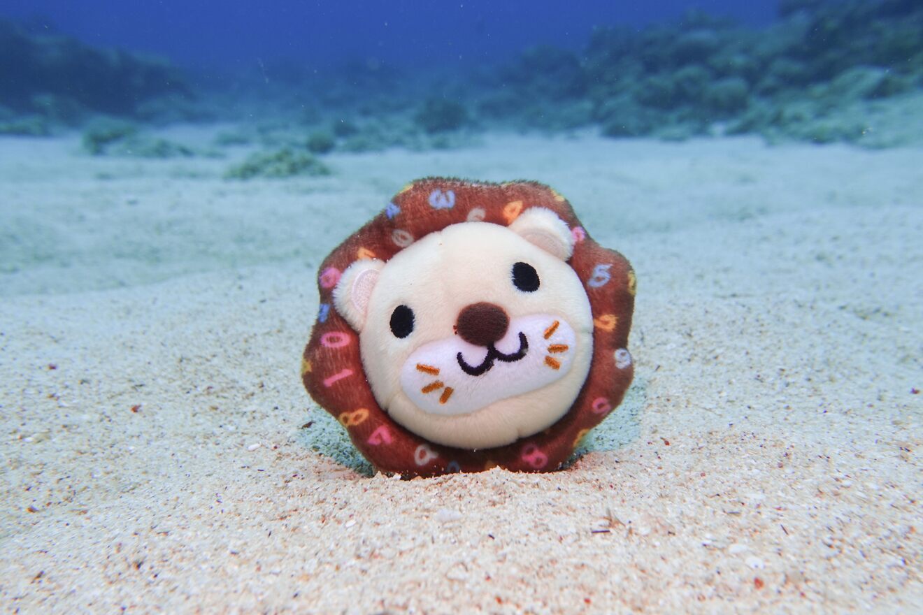 LeapScubaAmami