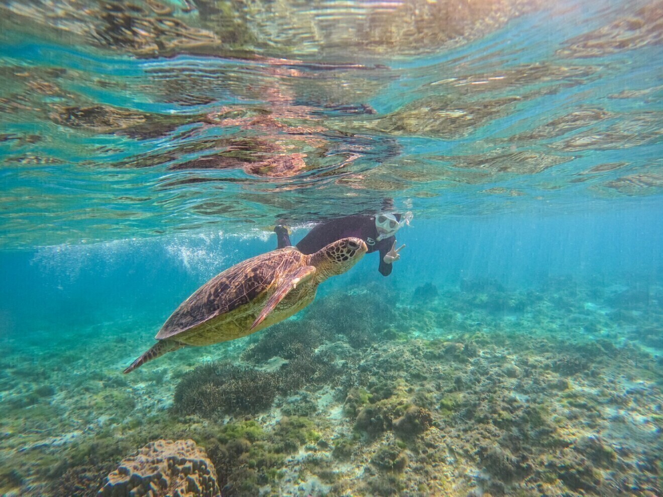 LeapScubaAmami