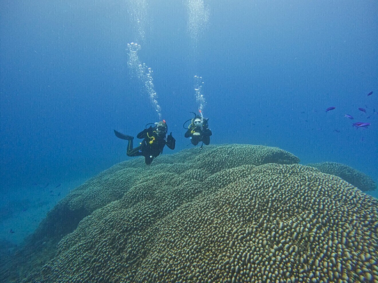 LeapScubaAmami