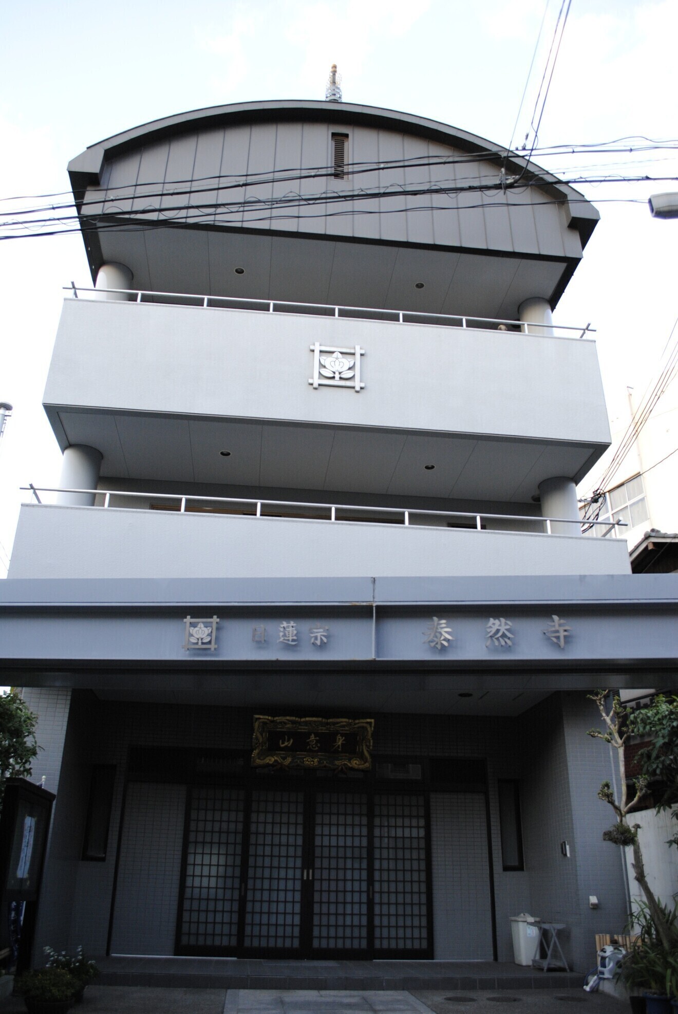 コーのお寺 | たいねんじ