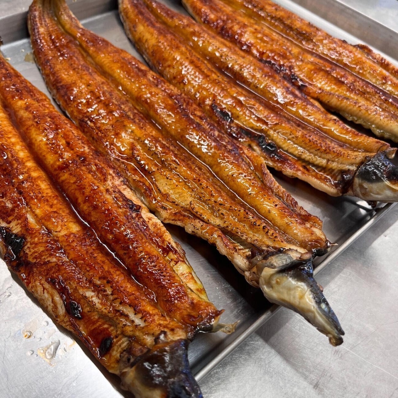 辻本大二魚店