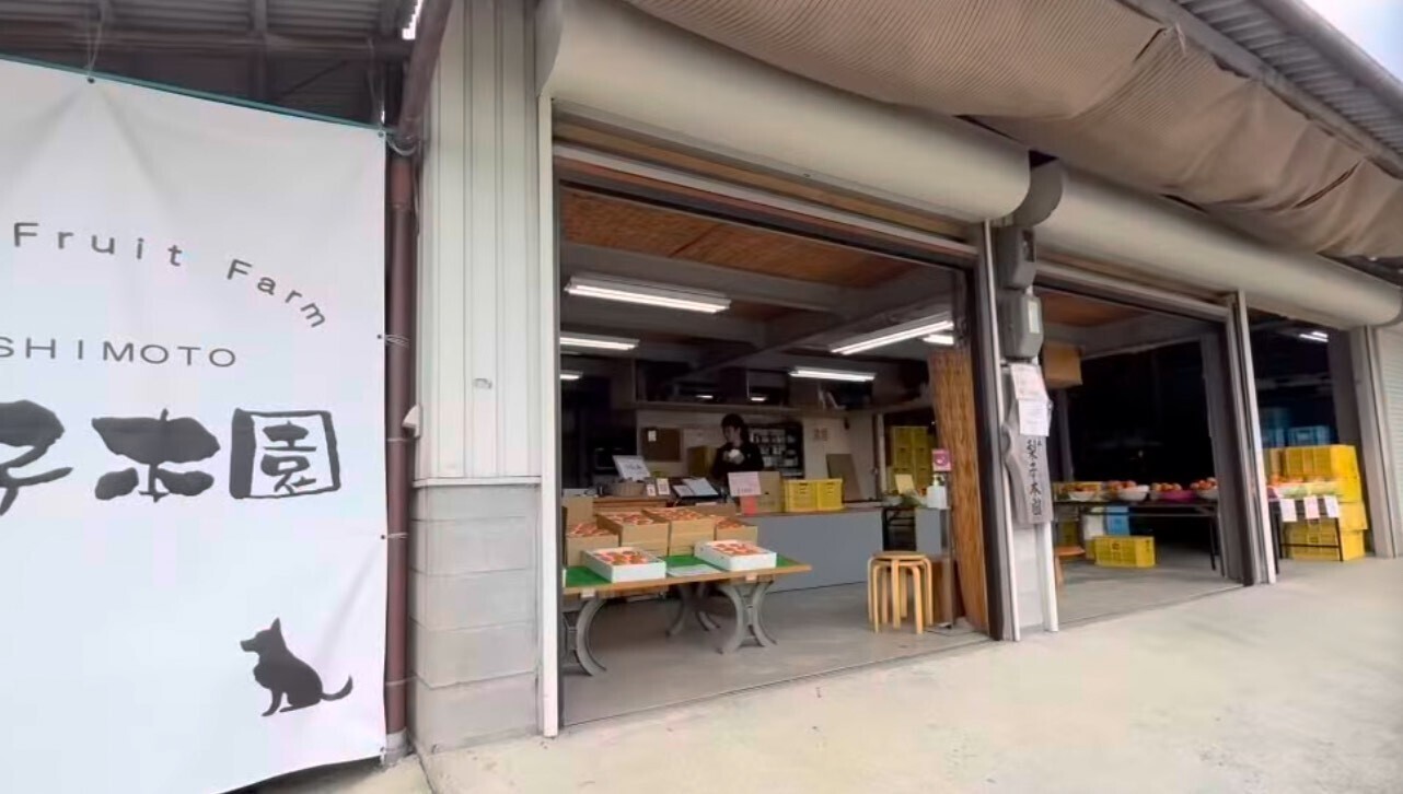 梨子本園　奈良県　桃・李・柿 農家