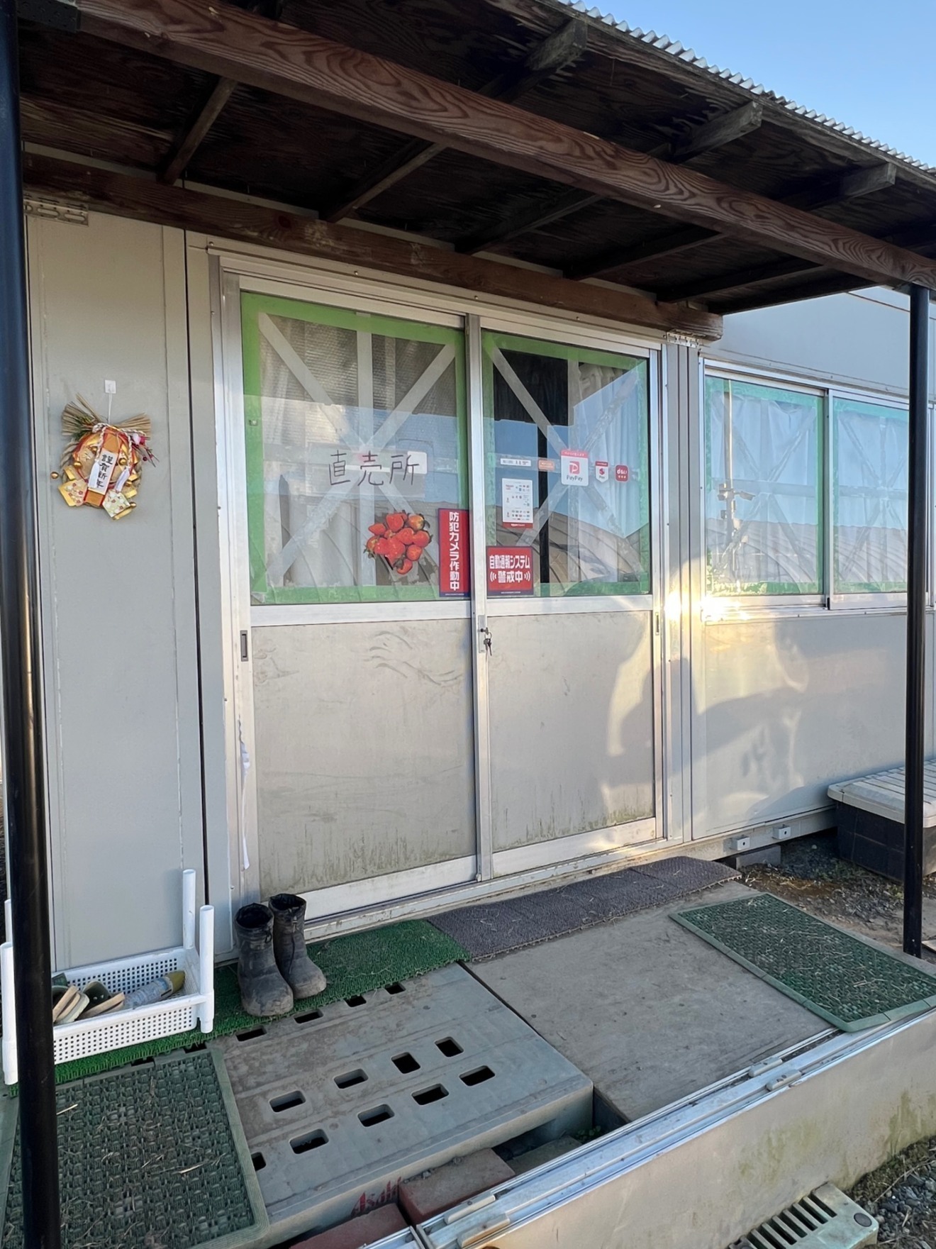 いちご兄弟農園