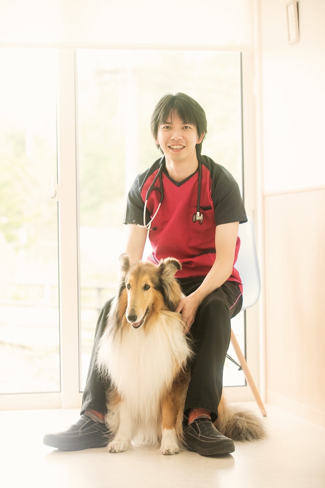中軽井沢どうぶつ病院（長野県、軽井沢）