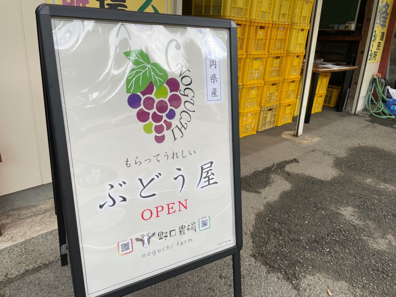 フルーツファーム野口農場