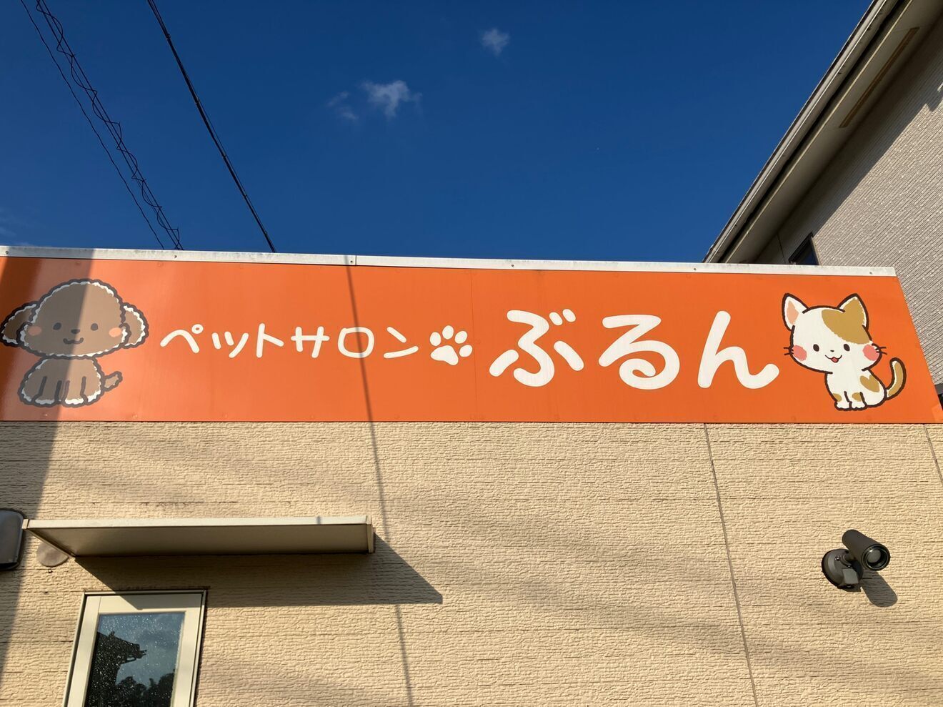 (岐阜県)ペットサロンぶるん