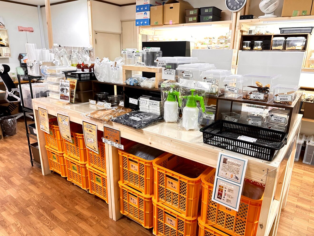 なかよしメダカ「くわかぶ部」