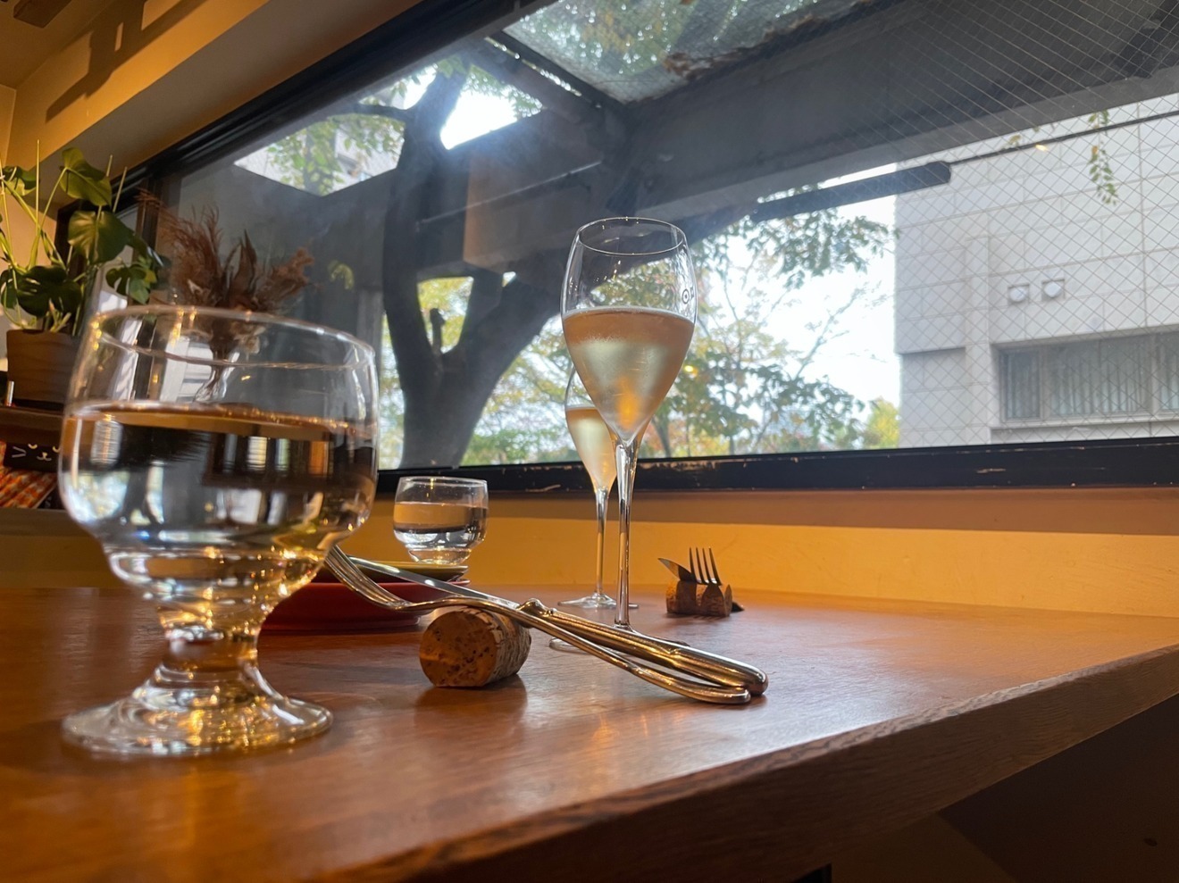 シチリア料理アリア