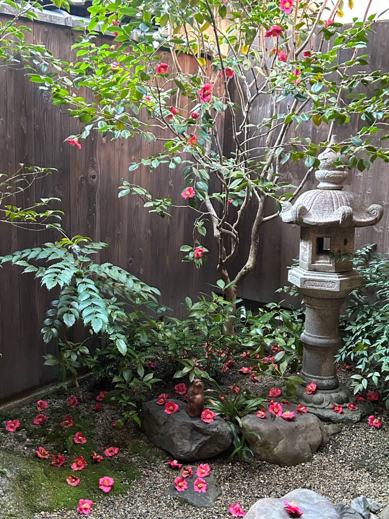 京都　烏丸御池　竹ざき