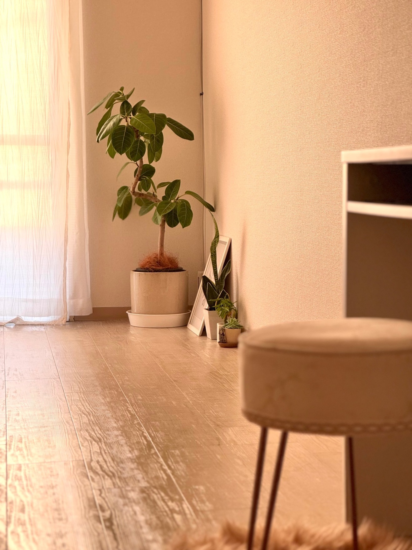 【代々木】Moncappuccino