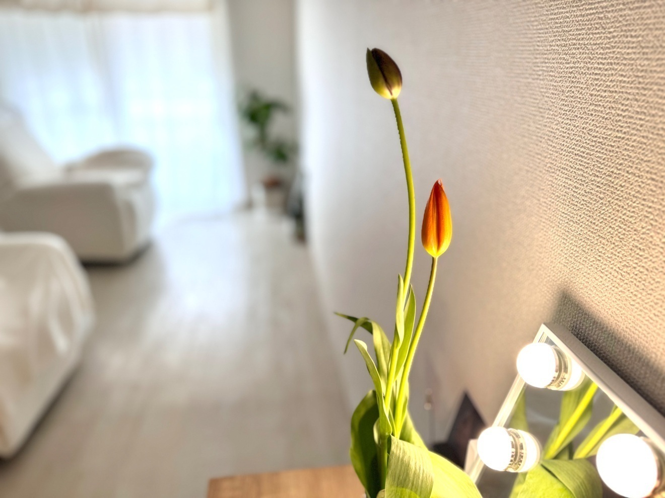 【代々木】Moncappuccino