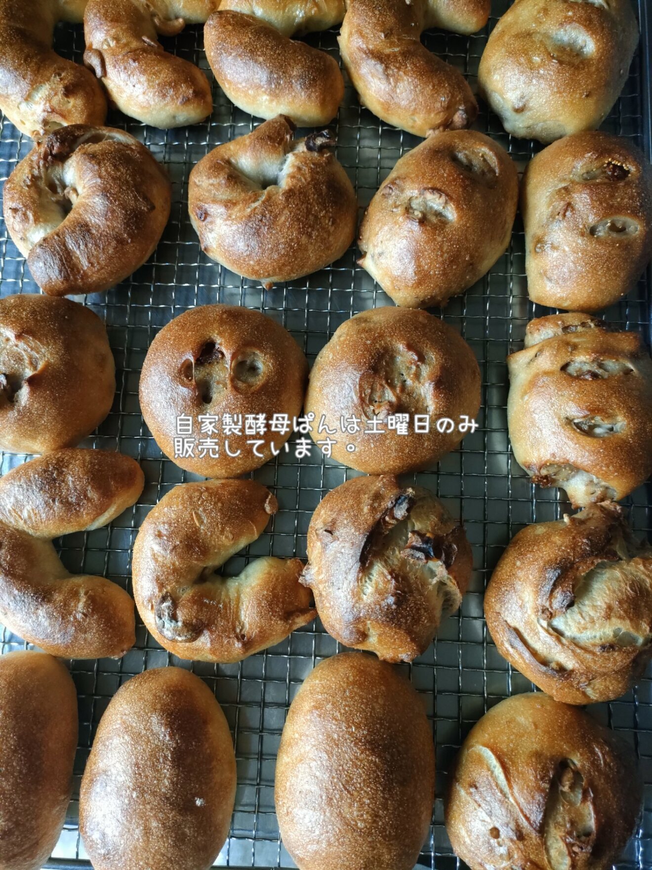 hohoemi（ぱん屋、わらびもち）