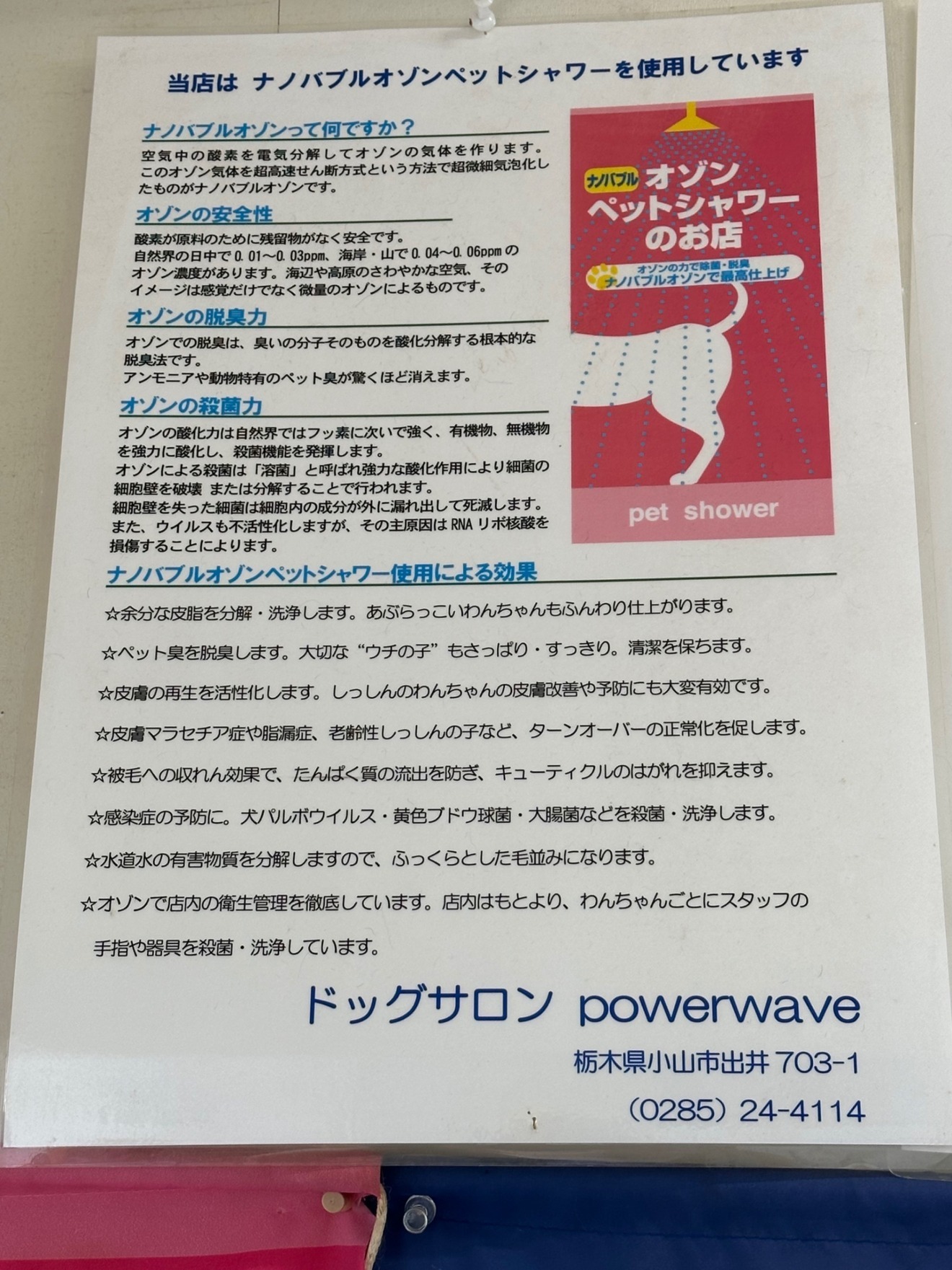 dogsalon  powerwave
