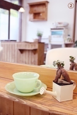 Ohana Kokoo【神奈川県横須賀】