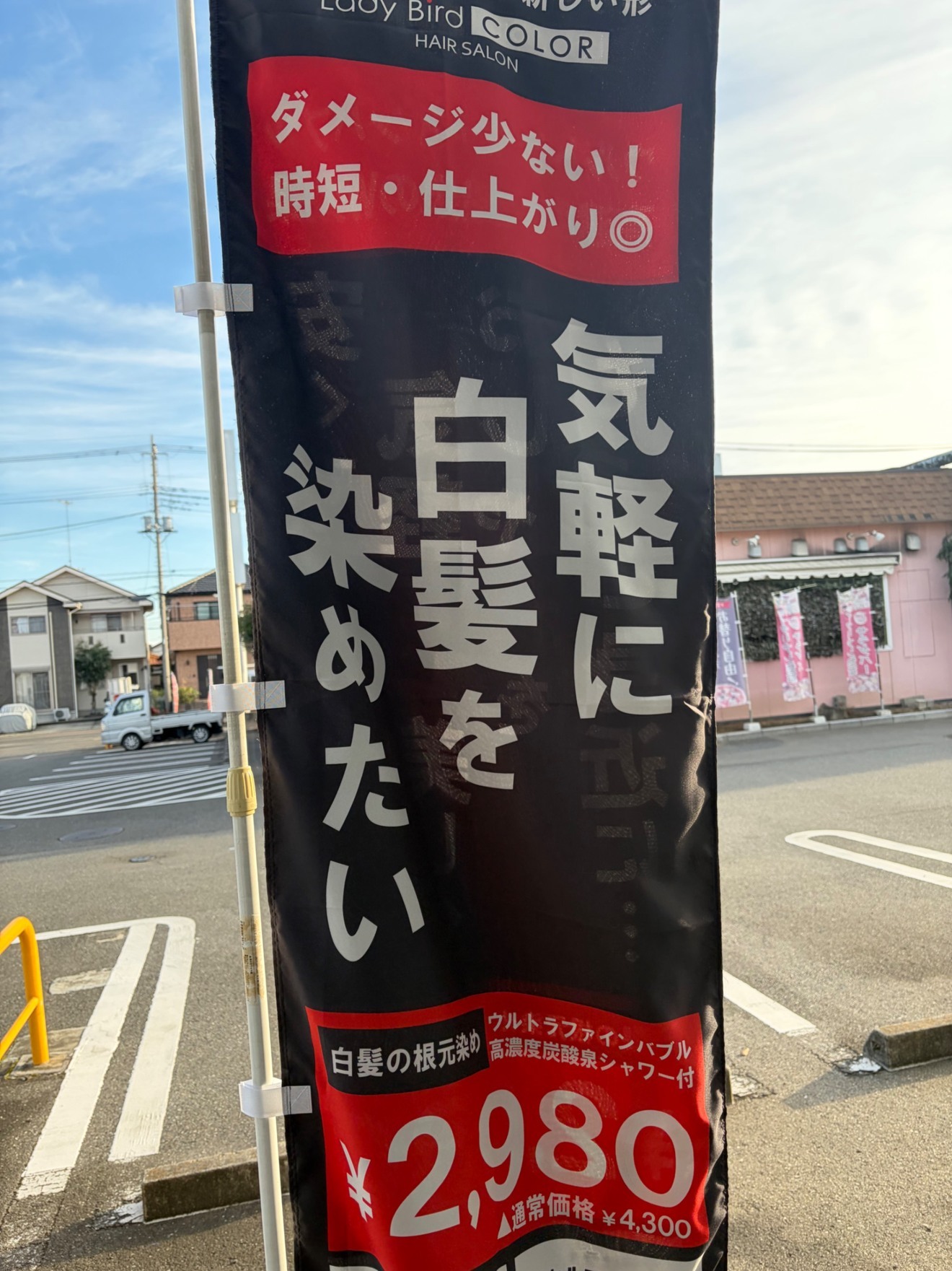 レイディバードカラーFG籠原店