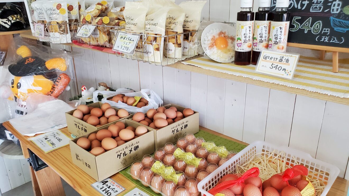 吉川養鶏・COCCOPURIO