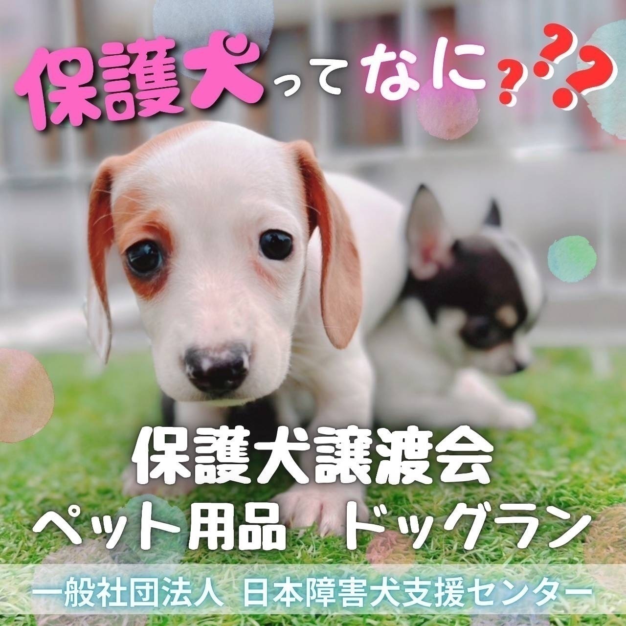 (ペット用品販売)日本障害犬支援センター