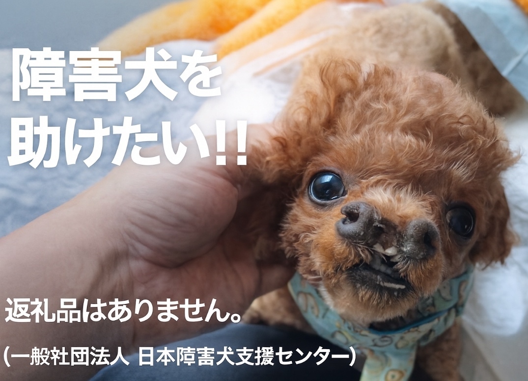 (ペット用品販売)日本障害犬支援センター