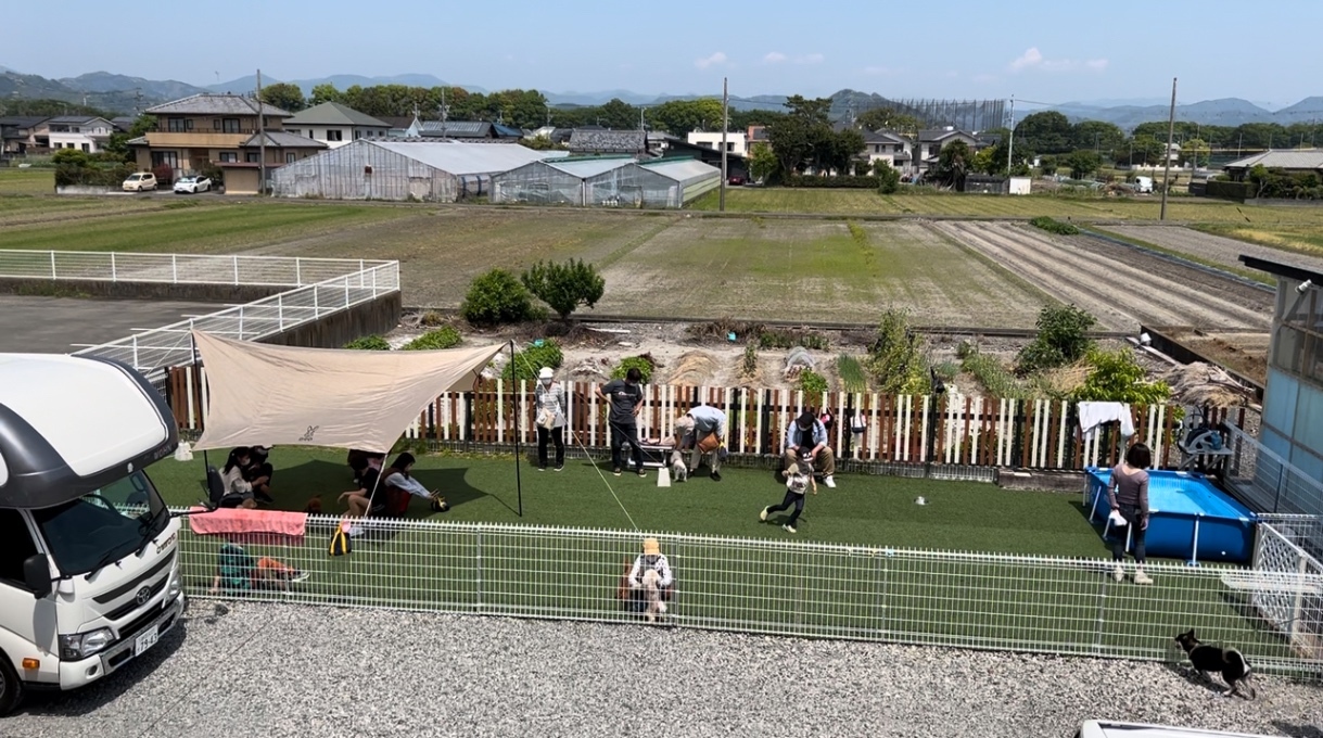 (ペット用品販売)日本障害犬支援センター