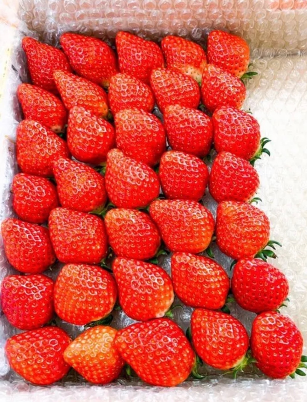 農園たびと【朝採りいちご直売所】