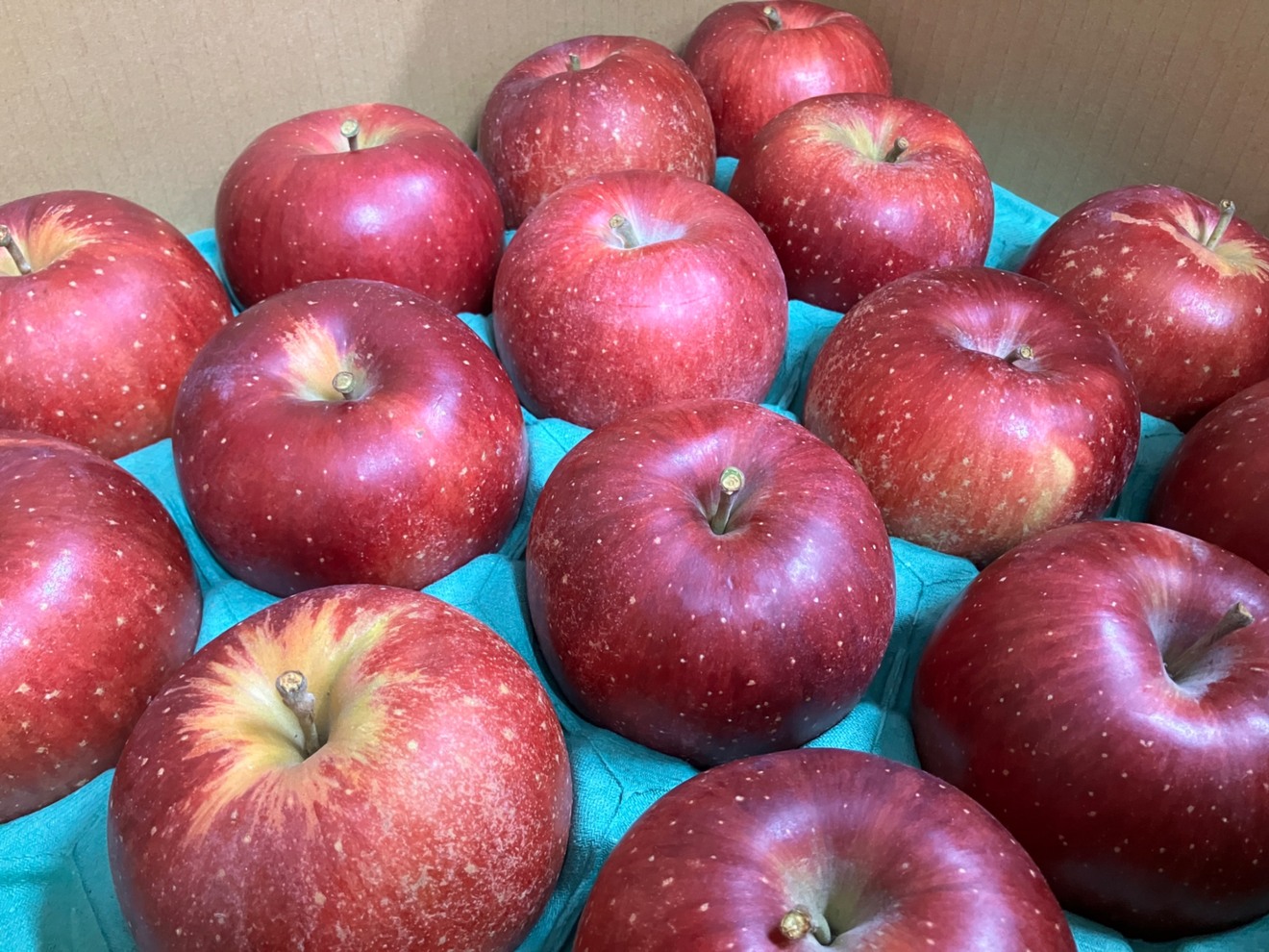 あおぱん（パン屋＠東京都練馬区田柄）