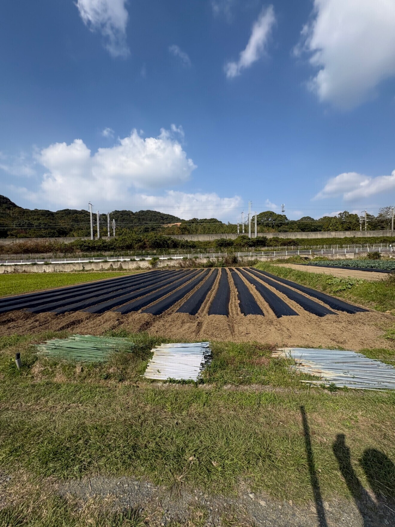 たぬき農園野菜直売所