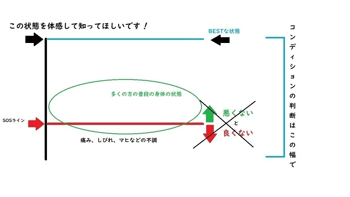 整体（姿勢・痛み・聴覚と視覚の情報処理）