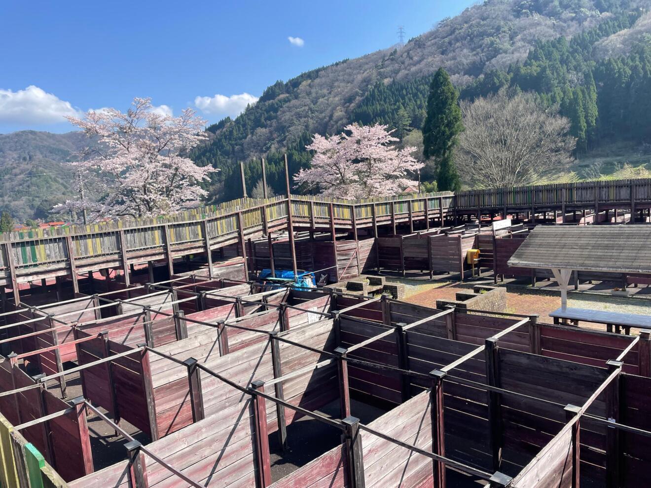 匹見の迷路とミステリーハウス匹見