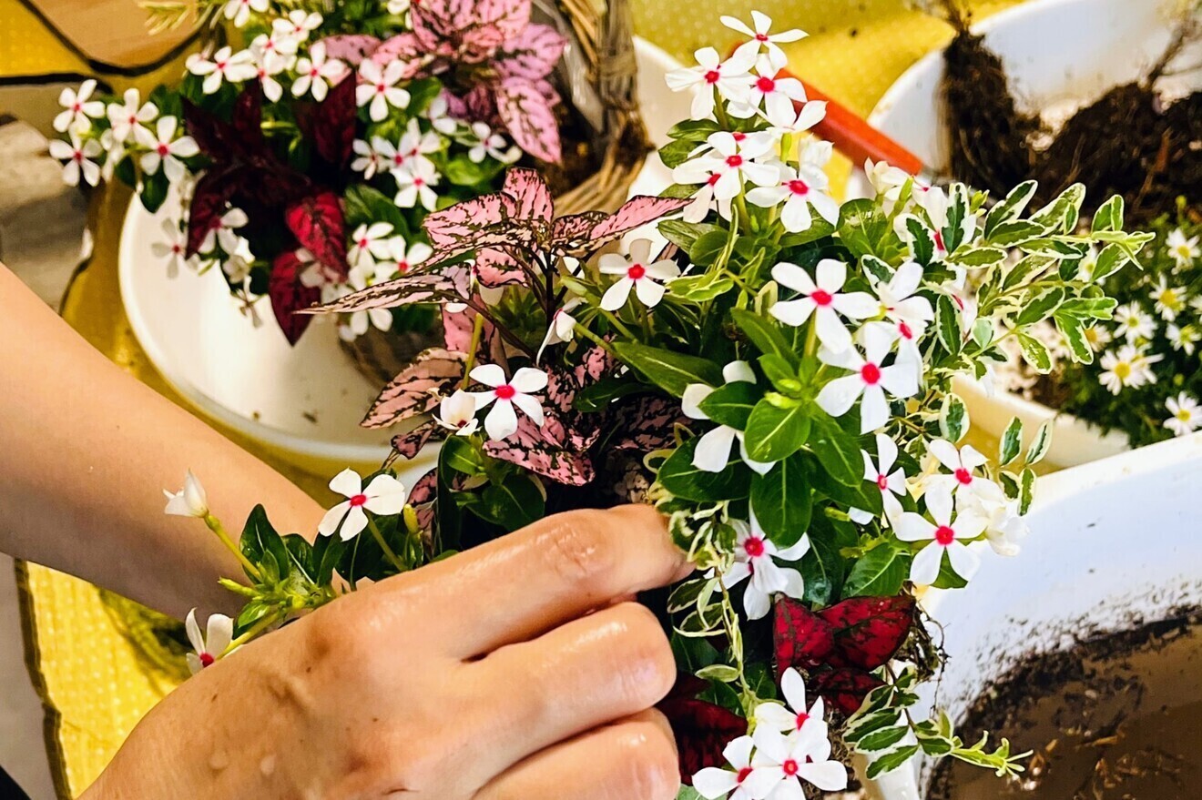 秋田・能代市　アトリエいちりん華