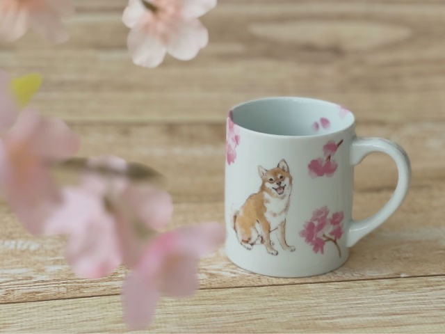 【沖縄】brilliant idea