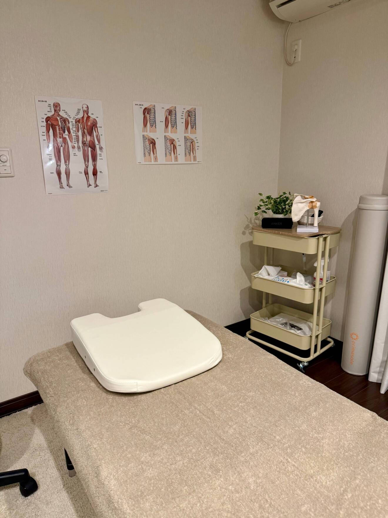 つくば桜日和整体