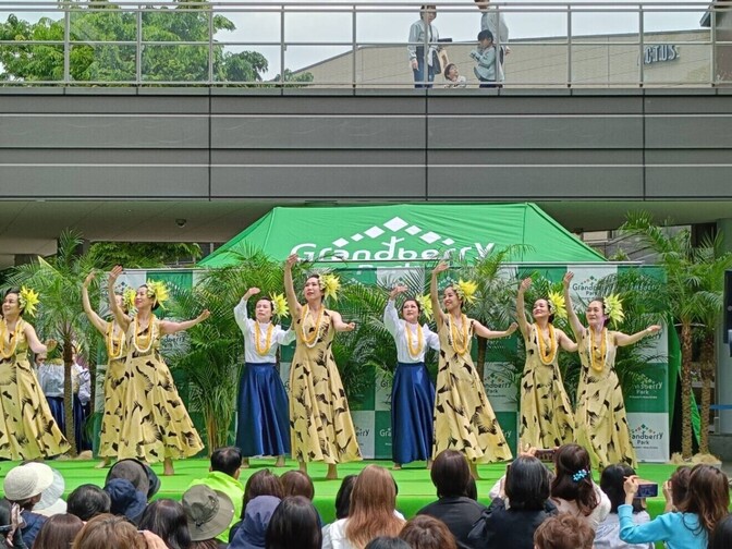 フラダンス　アカハイフラスタジオ　横浜