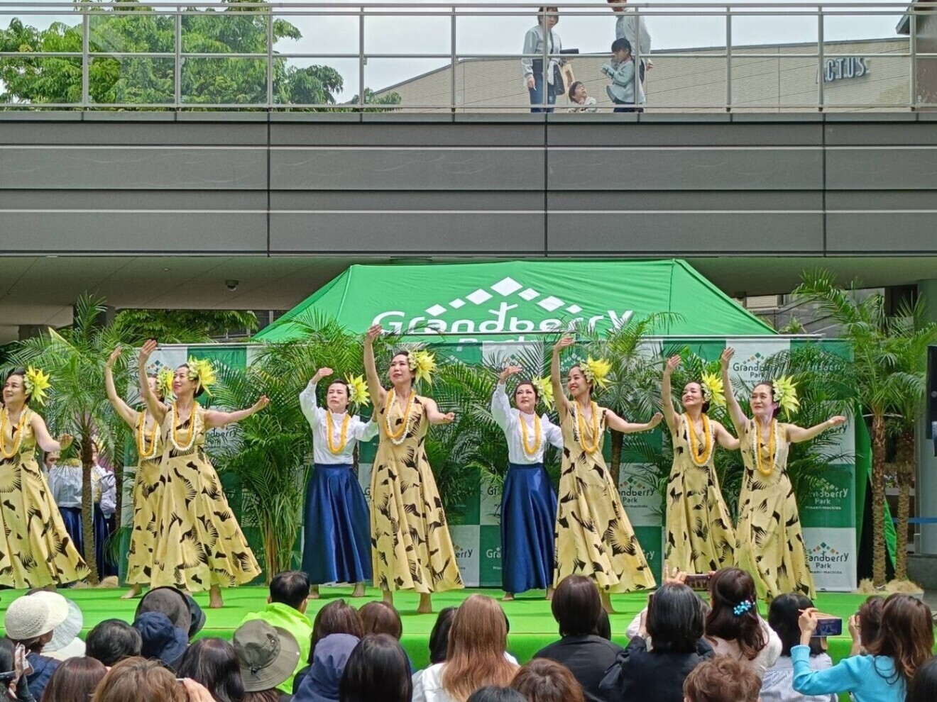 フラダンス　アカハイフラスタジオ　横浜