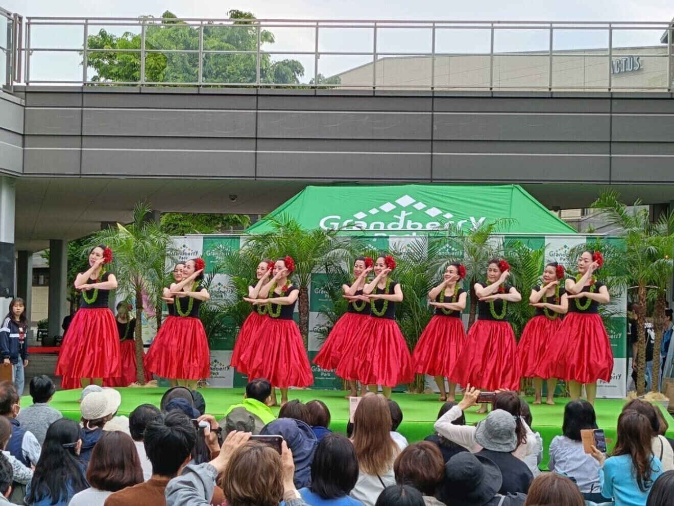 フラダンス　アカハイフラスタジオ　横浜
