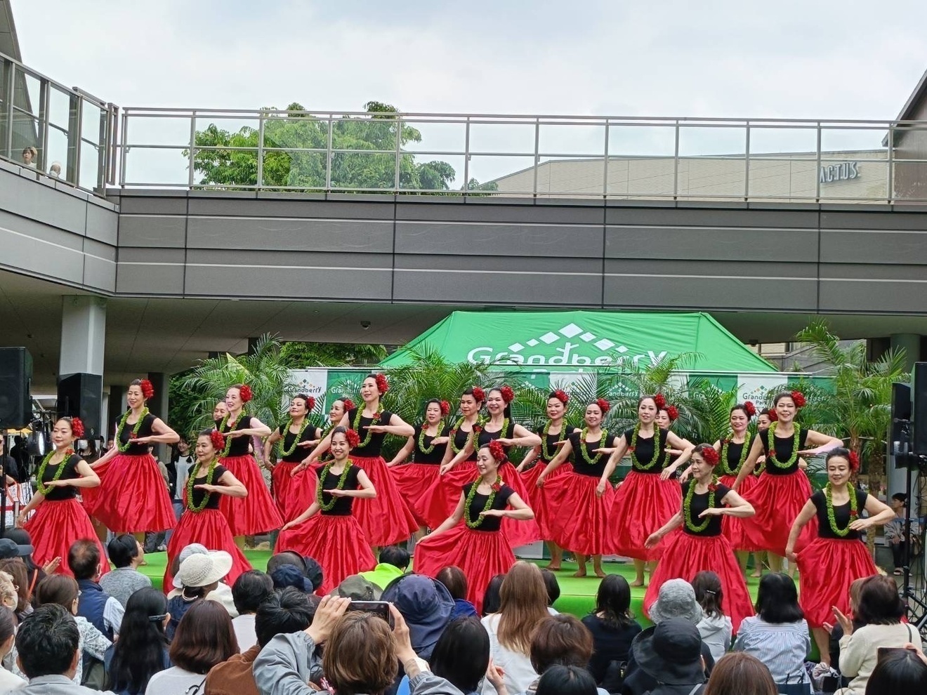 フラダンス　アカハイフラスタジオ　横浜