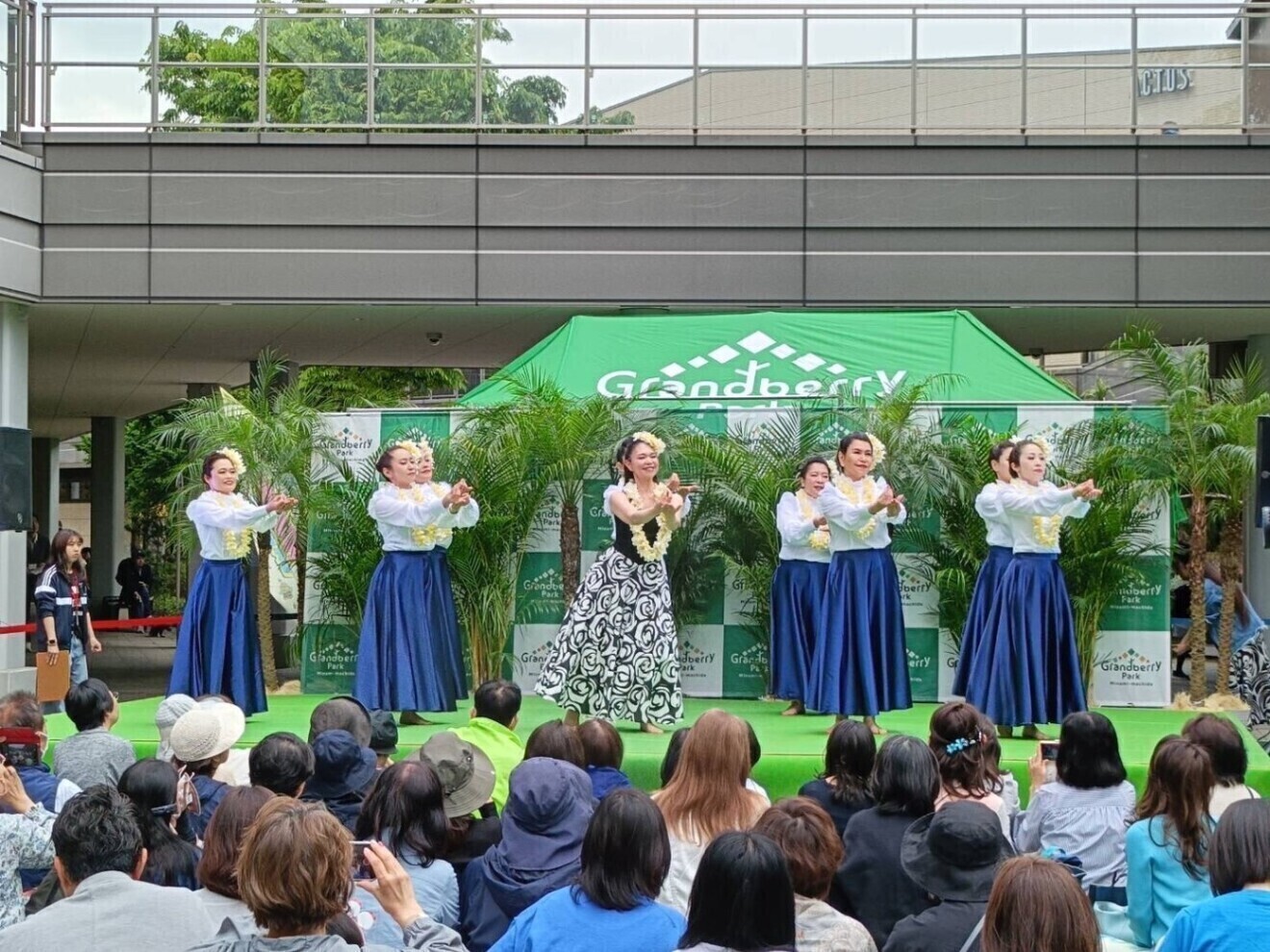 フラダンス　アカハイフラスタジオ　横浜