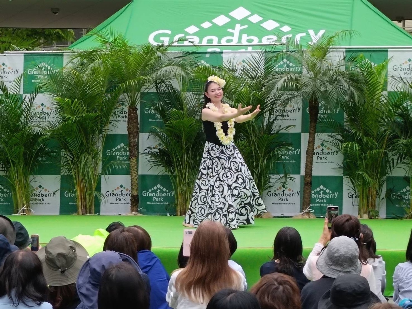 フラダンス　アカハイフラスタジオ　鷺沼