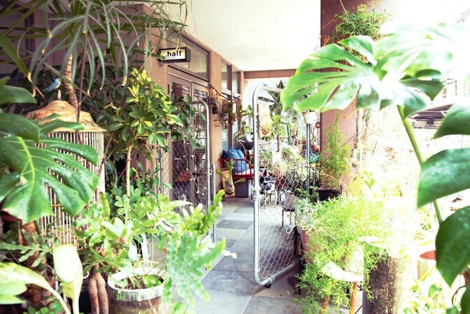 ヘアサロンドットハーフ 世田谷　国産ヘナ