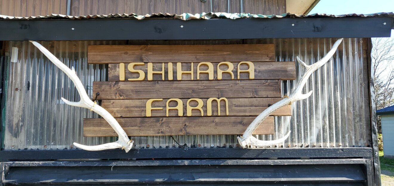 石原牧場 (放牧アイスクリーム) 豊富町